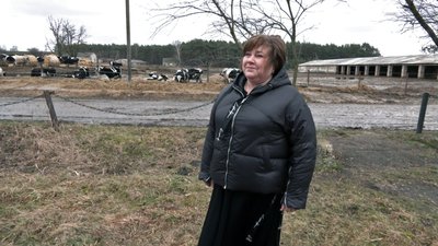 Розвиток тваринництва на Волині. Як працює фермерське господарство в Луцькому районі Розвиток тваринництва на Волині. Як працює фермерське господарство в Луцькому районі