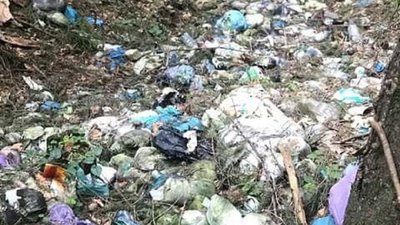 Прикарпатця, який впродовж років скидав сміття у лісі, заставили поприбирати Прикарпатця, який впродовж років скидав сміття у лісі, заставили поприбирати