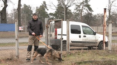 Покинуті собаки: в Черкасах почастішали випадки, коли містяни евакуюються, а своїх домашніх тварин лишають надворі Покинуті собаки: в Черкасах почастішали випадки, коли містяни евакуюються, а своїх домашніх тварин лишають надворі