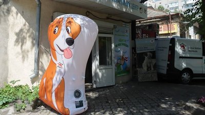 Щастя не має породи: у Миколаєві відкрили центр адопції тварин