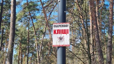 На Львівщині зафіксували перші випадки укусів кліщів