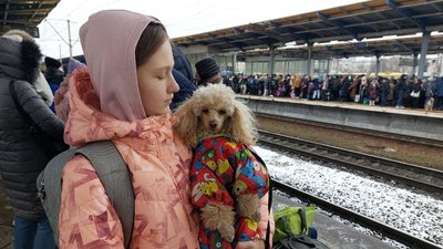 За останні дні Укрзалізниця евакуювала понад 11 тисяч домашніх тварин