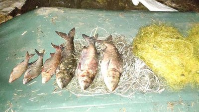 Під час операції "Нерест" затримали трьох браконьєрів Під час операції "Нерест" затримали трьох браконьєрів