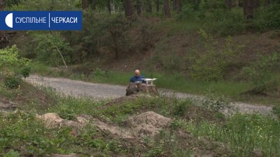 Ліси на Черкащині всихають через зміну клімату Ліси на Черкащині всихають через зміну клімату