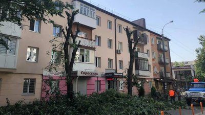 У Рівному посадовиця обурилась, що колеги-комунальники "знищили дерева". Що сталось