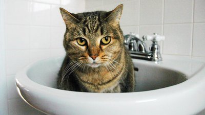 В Кирилівці на три доби відключать водопостачання
