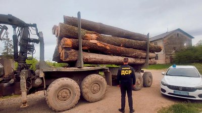 На Прикарпатті затримали дві вантажівки із незаконно зрубаною деревиною