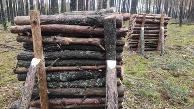 У громаді на Волині всі школи та дитсадки опалюватимуть дровами і торфобрикетом У громаді на Волині всі школи та дитсадки опалюватимуть дровами і торфобрикетом