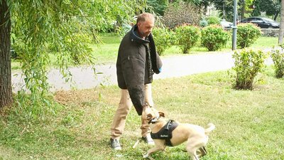 На фото собака Рафаель відпрацьовує прийому захисту свого господаря. На фото собака Рафаель відпрацьовує прийому захисту свого господаря.