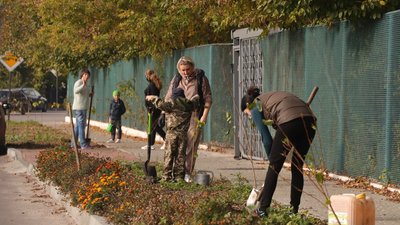 На Рівненщині покрали сакури, які висадили першокласники На Рівненщині покрали сакури, які висадили першокласники