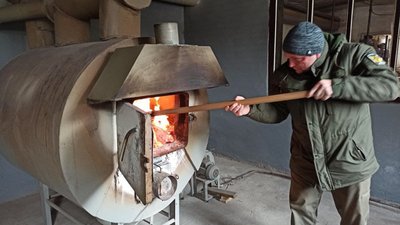 У Бірківському лісництві сушать шишки на насіння