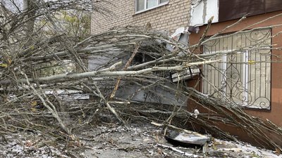 Повалені дерева, обірвані дроти: як жителі Херсонщини долають наслідки негоди Повалені дерева, обірвані дроти: як жителі Херсонщини долають наслідки негоди