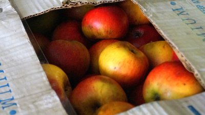 Місто-курорт стало на містом-«евакуатором». Як Трускавець допомагає переселенцям та армії Місто-курорт стало на містом-«евакуатором». Як Трускавець допомагає переселенцям та армії