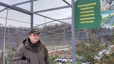 Пункти продажу ялинок у Тернополі: скільки коштує ялинка Пункти продажу ялинок у Тернополі: скільки коштує ялинка