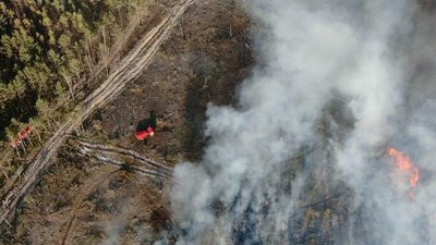 Пожежа в лісі на Рівненщині Пожежа в лісі на Рівненщині