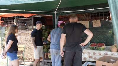 Де у Черкасах торгуватимуть кавунами та динями