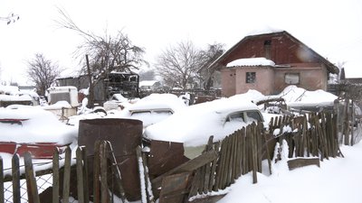 У морози і заметіль, без сіна і води. Прикарпатець вигнав коней жити у поле У морози і заметіль, без сіна і води. Прикарпатець вигнав коней жити у поле