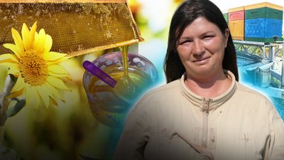 як працює сімейна пасіка на Миколаївщині