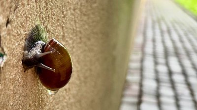 Прогноз погоди на 29 березня 2026 року у Рівному та області