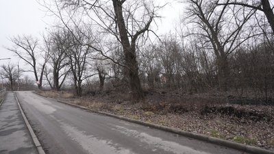 За парканом, який обгородив лісопарк у Кропивницькому, з'явився комплекс будівель За парканом, який обгородив лісопарк у Кропивницькому, з'явився комплекс будівель
