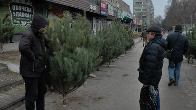 У Полтаві не виявили жодного незаконного місця торгівлі ялинками