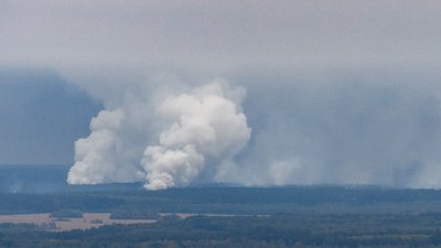 Горів гектар лісу через вибухи на Чернігівщині