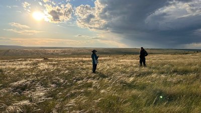 Тарутинський степ