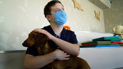 "З вадою не потрібен". Історія такси Сільвера, покинутого в харківському притулку через ампутацію "З вадою не потрібен". Історія такси Сільвера, покинутого в харківському притулку через ампутацію