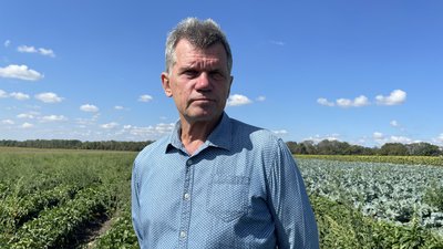На Дніпропетровщині аграрії збирають врожай овочів На Дніпропетровщині аграрії збирають врожай овочів
