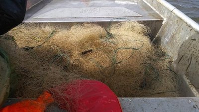 За березень на водоймах Прикарпаття - 34 правопорушення
