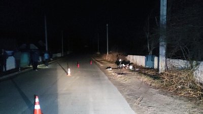 На Житомирщині у ДТП загинула пасажирка мотоцикла, водій – у реанімації На Житомирщині у ДТП загинула пасажирка мотоцикла, водій – у реанімації