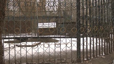 У парку Чекмана, що у середмісті Хмельницького клишоногий спить майже тиждень. Фото: Суспільне Поділля