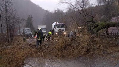 Дерево впало на проїжджу частину на дорозі національного значення Мукачево-Івано-Франківськ-Львів Дерево впало на проїжджу частину на дорозі національного значення Мукачево-Івано-Франківськ-Львів