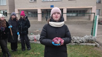 На Волині школярі з волонтерами висадили пів тисячі цибулин квітів із Нідерландів На Волині школярі з волонтерами висадили пів тисячі цибулин квітів із Нідерландів