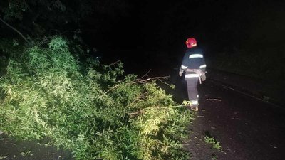 128 знеструмлених населених пунктів, підтоплені будинки та повалені дерева. Негода на Вінниччині