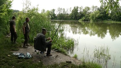 У Стрижень випустили півтори тонни коропа: на вилов риби тепер діють додаткові обмеження У Стрижень випустили півтори тонни коропа: на вилов риби тепер діють додаткові обмеження
