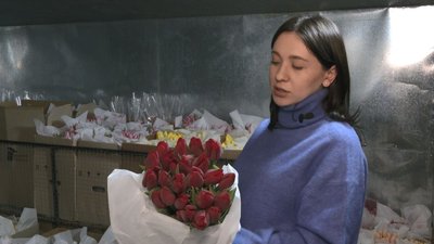 тюльпани тюльпани