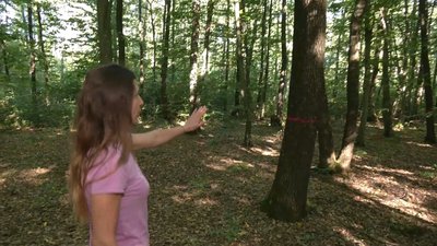 Жителі дачного масиву біля Рівного — проти рубки дерев на туристичному маршруті Жителі дачного масиву біля Рівного — проти рубки дерев на туристичному маршруті