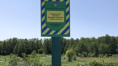 На Житомирщині у заказнику невідомі незаконно вирубали дерева – екологи нарахували шість мільйонів гривень збитків