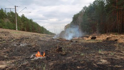 На Чернігівщині жінка підпалила траву, вогонь пішов до лісу