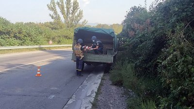 Мінометну міну часів Другої світової війни знайшли неподалік Ужгорода Мінометну міну часів Другої світової війни знайшли неподалік Ужгорода