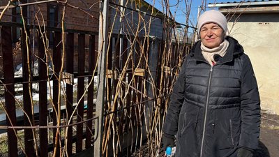 житомир, тетяна ліневич, обрізка малини, 11 березня 2026 року