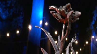 До Дня міста у Франківську відбулися нічні кування та світловий перформанс