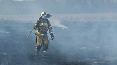 На Черкащині протягом доби вигоріло 10 гектарів сухостою та очерету