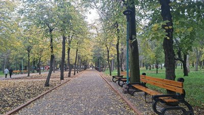 Якою буде погода на Кіровоградщині з 26 по 30 жовтня — Суспільне Кропивницький