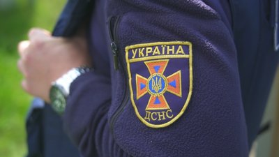 На Черкащині пес упав у погріб. Його врятували