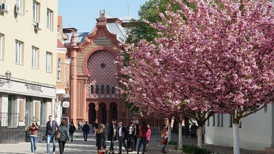 "Знаєш, ко муй няньо?" Ужгородці переклали закарпатські фрази для туристів