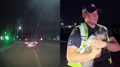 Водій з ознаками наркотичного сп'яніння та з котом у салоні втікав від правоохоронців 