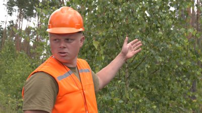 Буревій в лісі Рівне