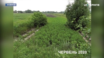 Витік річки Стрижень у с. Великі Осняки. Червень 2020 року